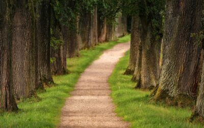 The Path of Soul-Centered Coaching